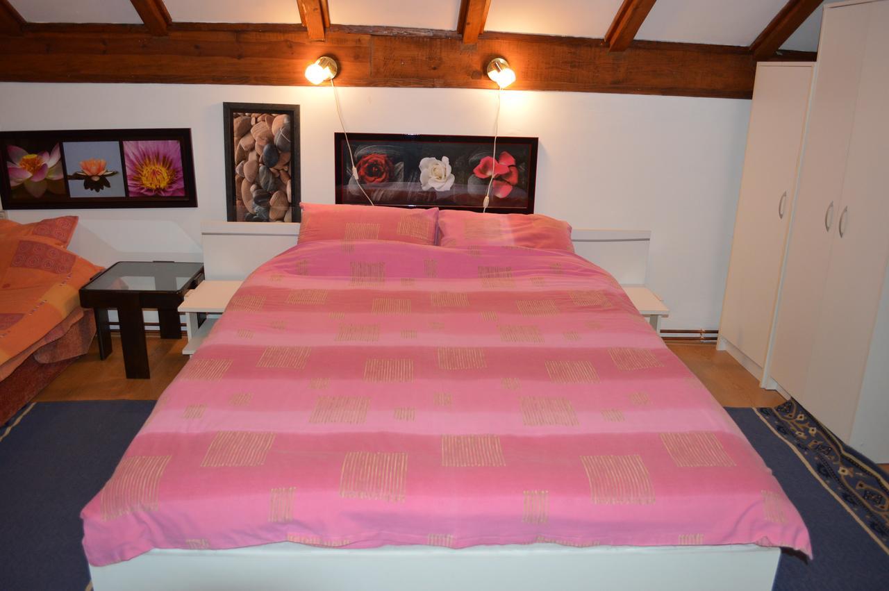 Apartman "Busije" Pozarevac Ngoại thất bức ảnh
